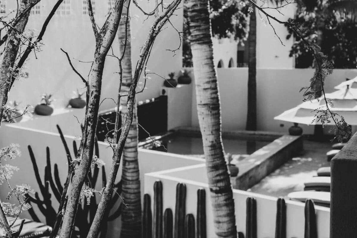 2 Amazing Suite King Rooms In Exclusive Boutique Hotel San José del Cabo Exterior foto